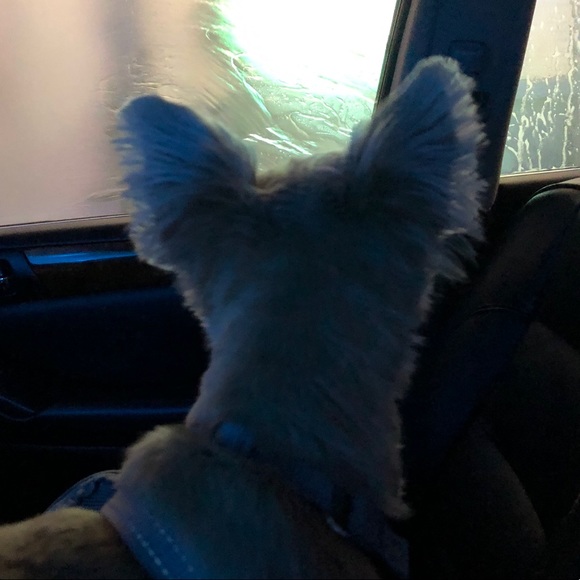 Meet your Posher, Ryan - Picture 1 of 1